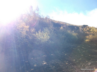 llone monte Zappinazzo-04-11-2012 09-57-54